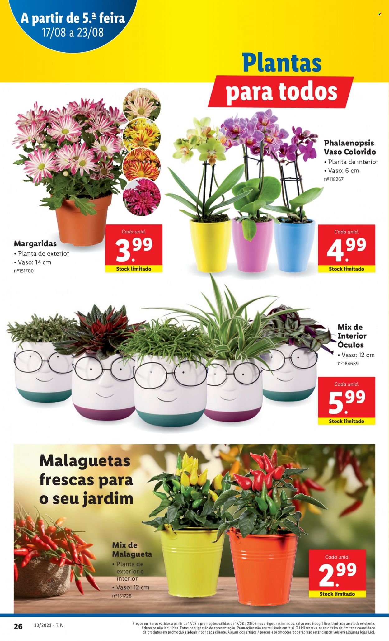 Folheto Lidl - 17.8.2023 - 23.8.2023. Página 44