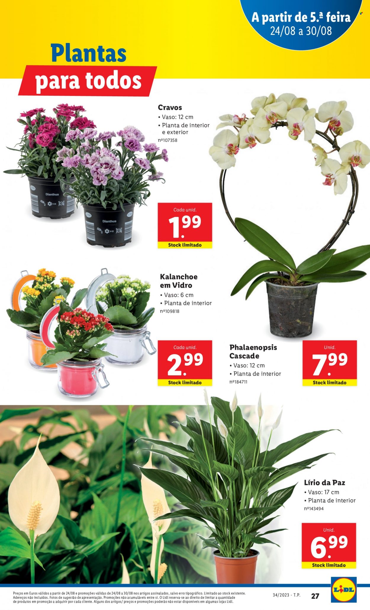 Folheto Lidl - 24.8.2023 - 30.8.2023. Página 27