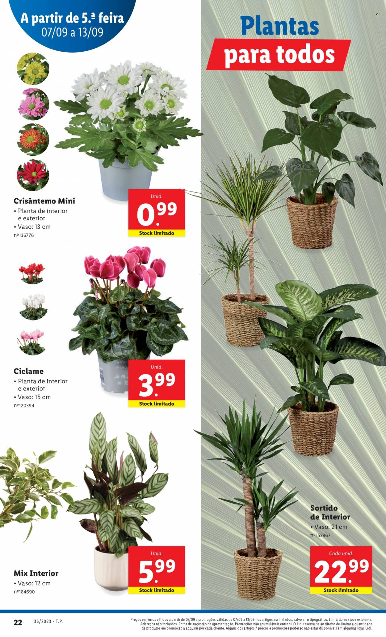 Folheto Lidl - 7.9.2023 - 13.9.2023. Página 52