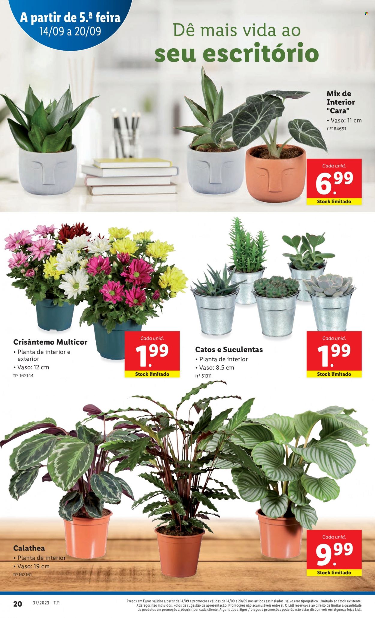 Folheto Lidl - 14.9.2023 - 20.9.2023. Página 36