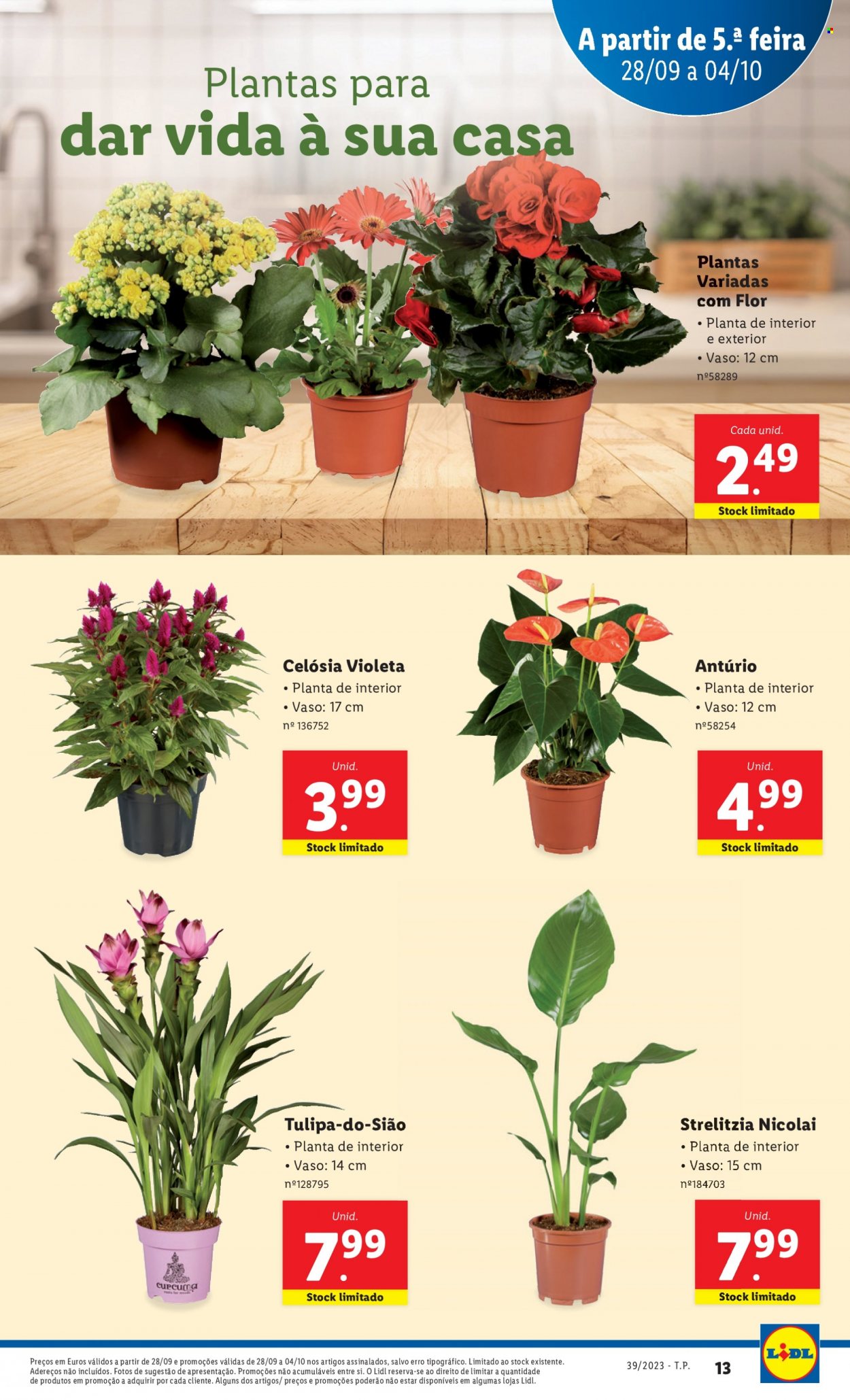 Folheto Lidl - 28.9.2023 - 4.10.2023. Página 13