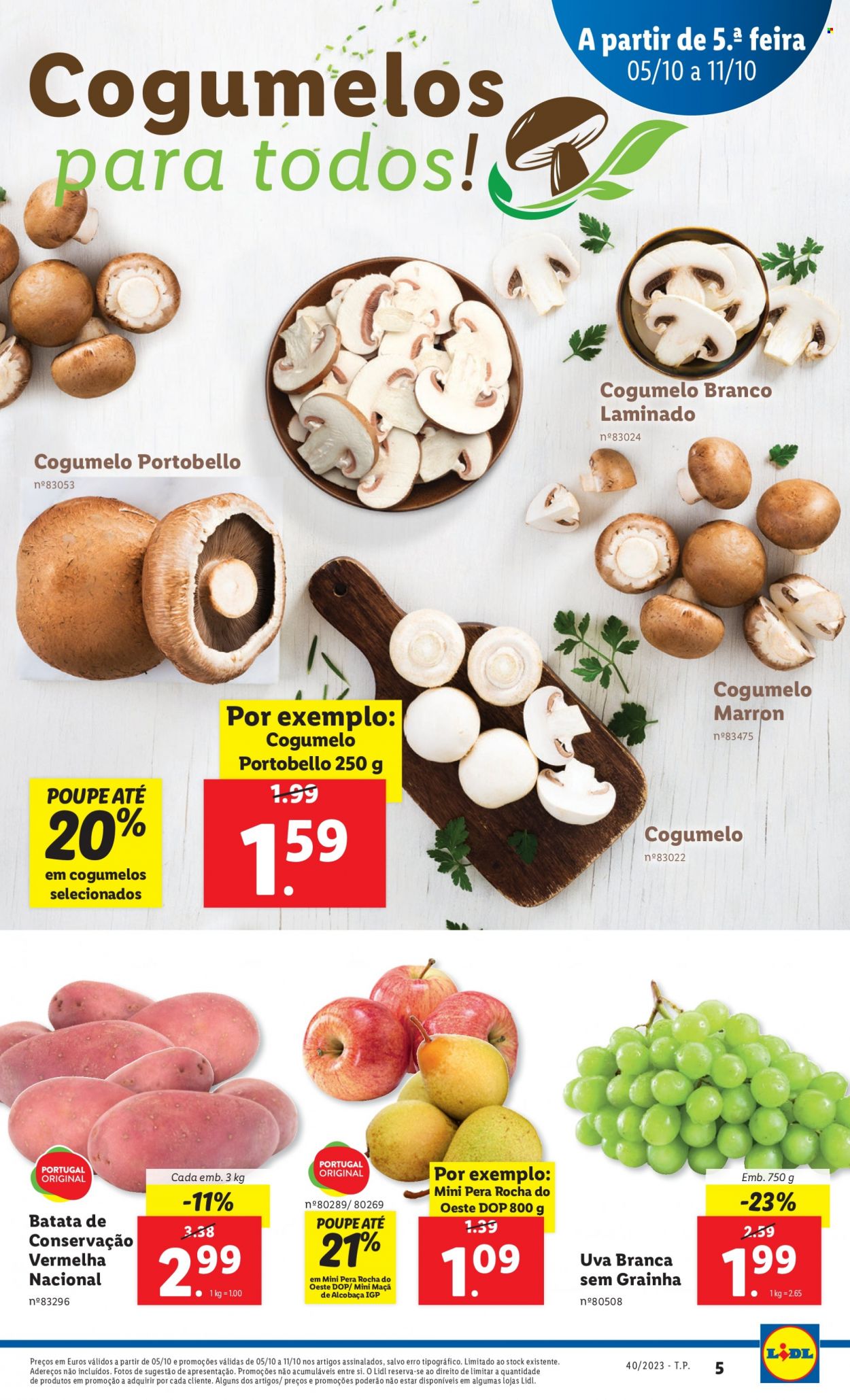 Folheto Lidl - 5.10.2023 - 11.10.2023. Página 5