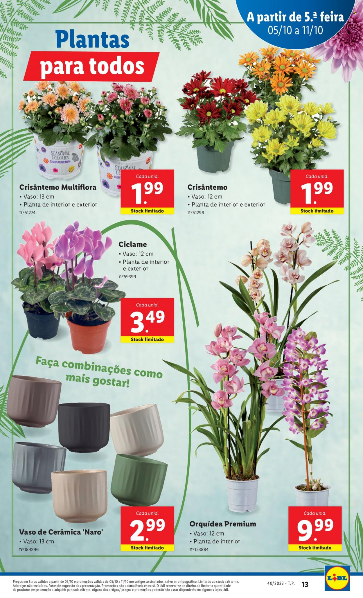 Folheto Lidl - 5.10.2023 - 11.10.2023. Página 37