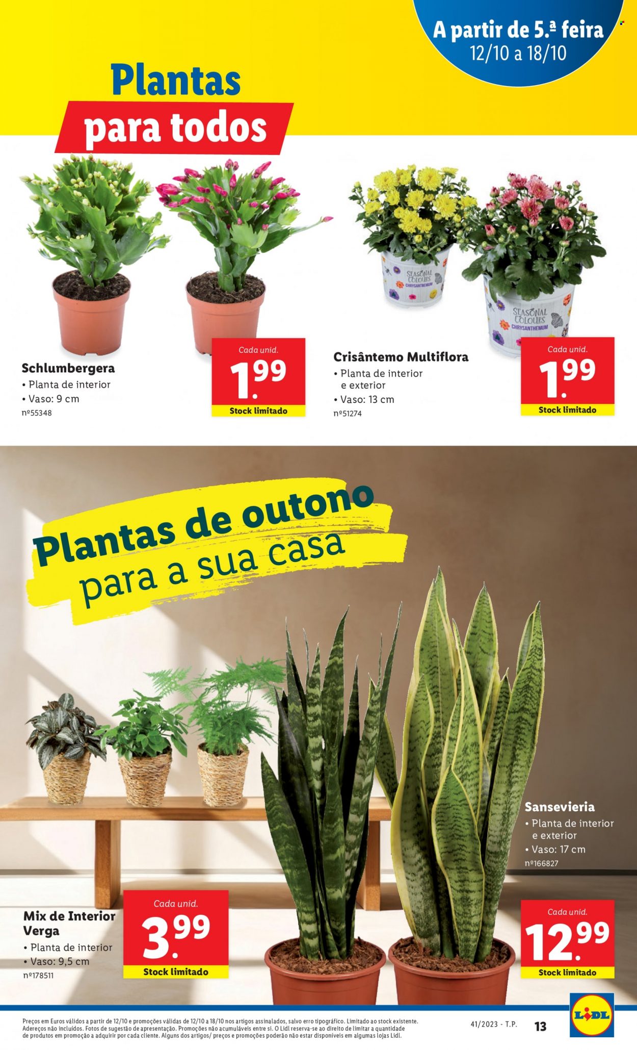 Folheto Lidl - 12.10.2023 - 18.10.2023. Página 39