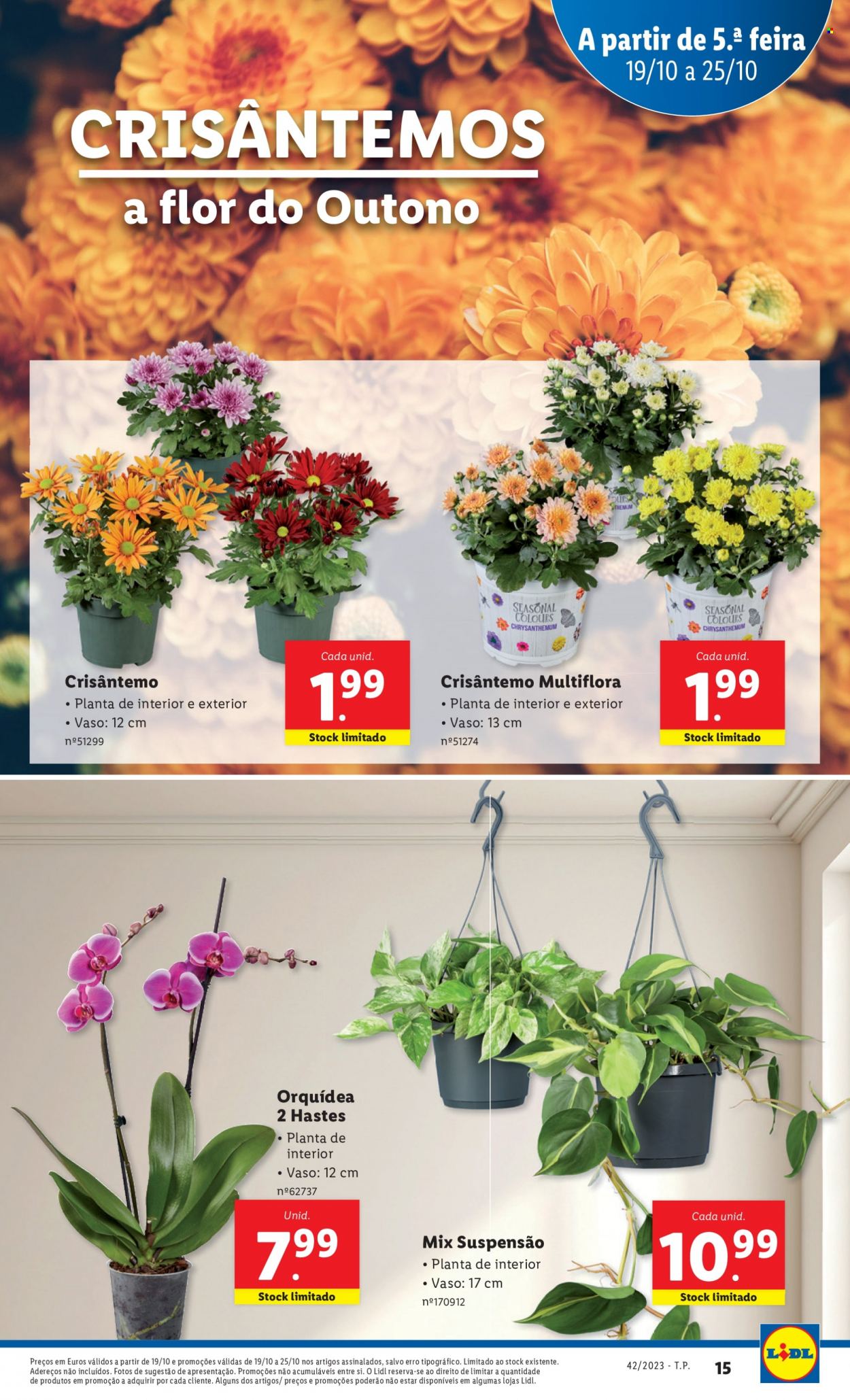 Folheto Lidl - 19.10.2023 - 25.10.2023. Página 29