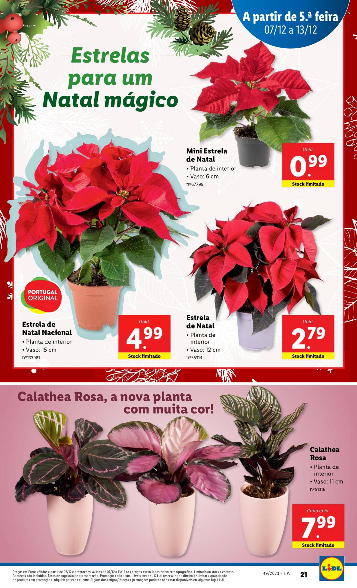 Folheto Lidl - 7.12.2023 - 13.12.2023. Página 21