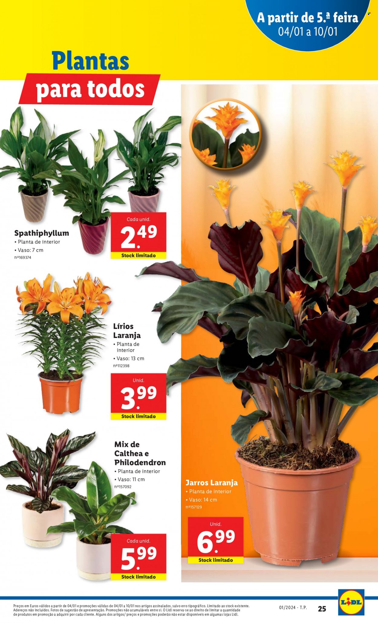 Folheto Lidl - 4.1.2024 - 10.1.2024. Página 25