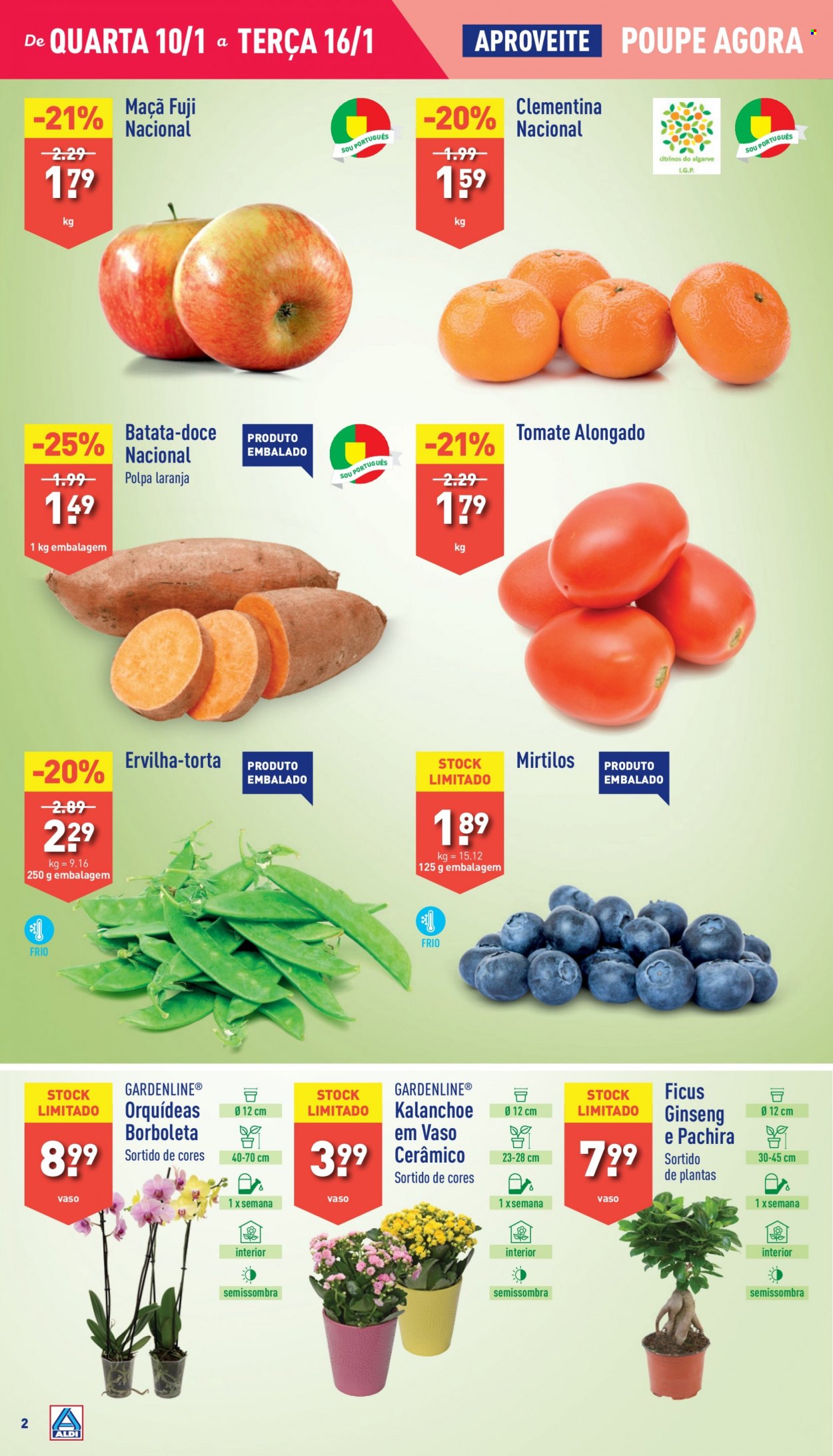 Folheto Aldi - 10.1.2024 - 16.1.2024. Página 2