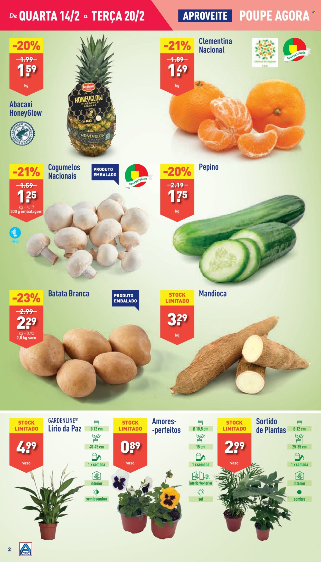 Folheto Aldi - 14.2.2024 - 20.2.2024. Página 2