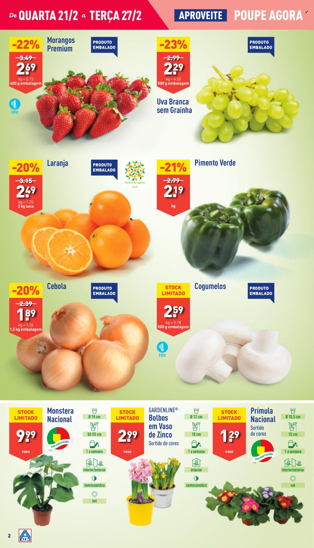 Folheto Aldi - 21.2.2024 - 27.2.2024. Página 2