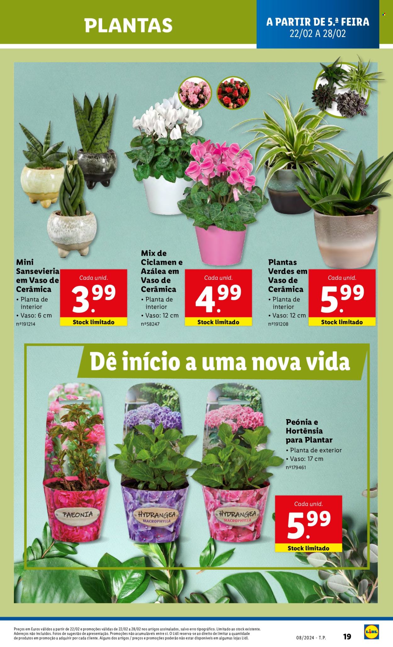 Folheto Lidl. Página 38