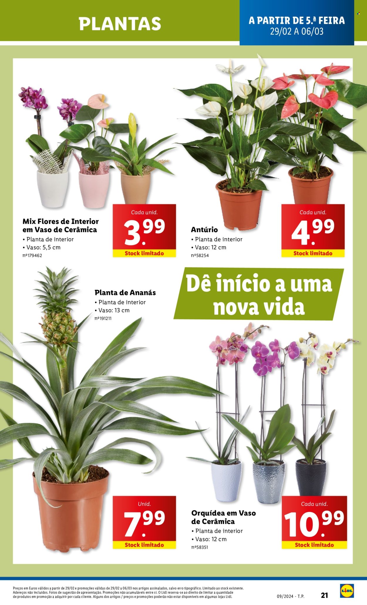 Folheto Lidl - 29.2.2024 - 6.3.2024. Página 42