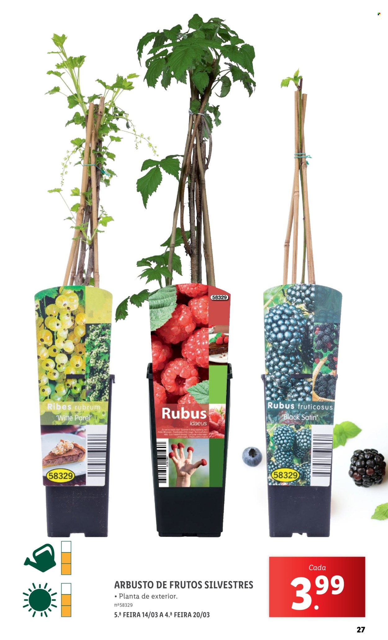 Folheto Lidl - 2.3.2024 - 31.3.2024. Página 27