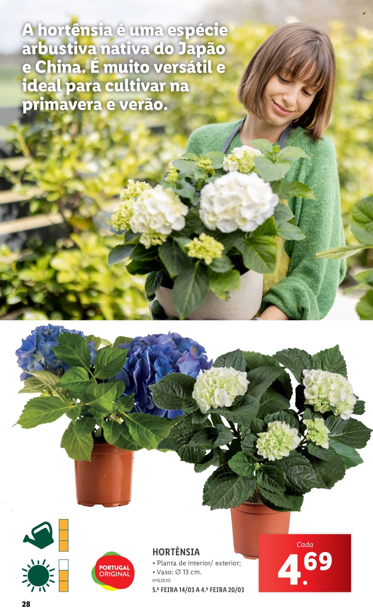 Folheto Lidl - 2.3.2024 - 31.3.2024. Página 28