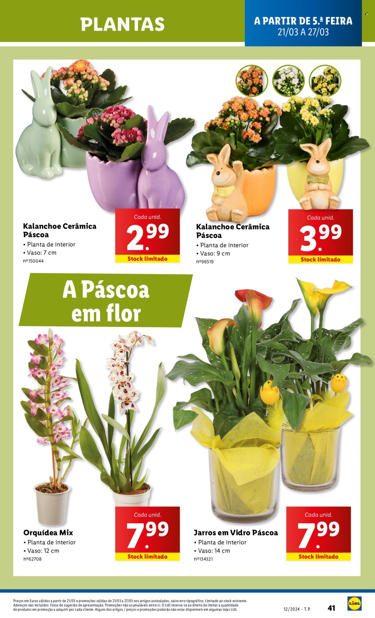 Folheto Lidl - 5.3.2024 - 21.3.2024. Página 63