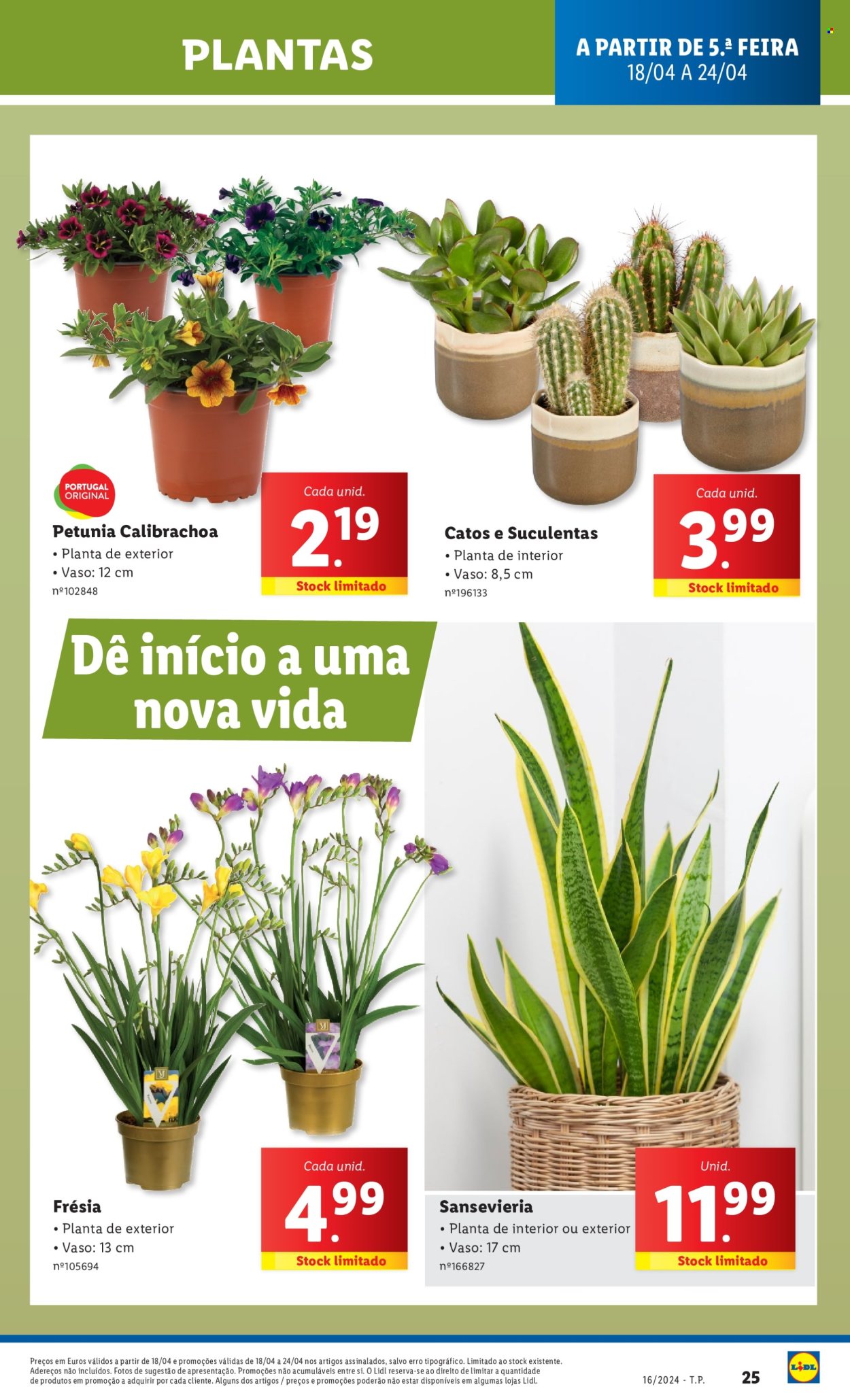 Folheto Lidl - 18.4.2024 - 24.4.2024. Página 25