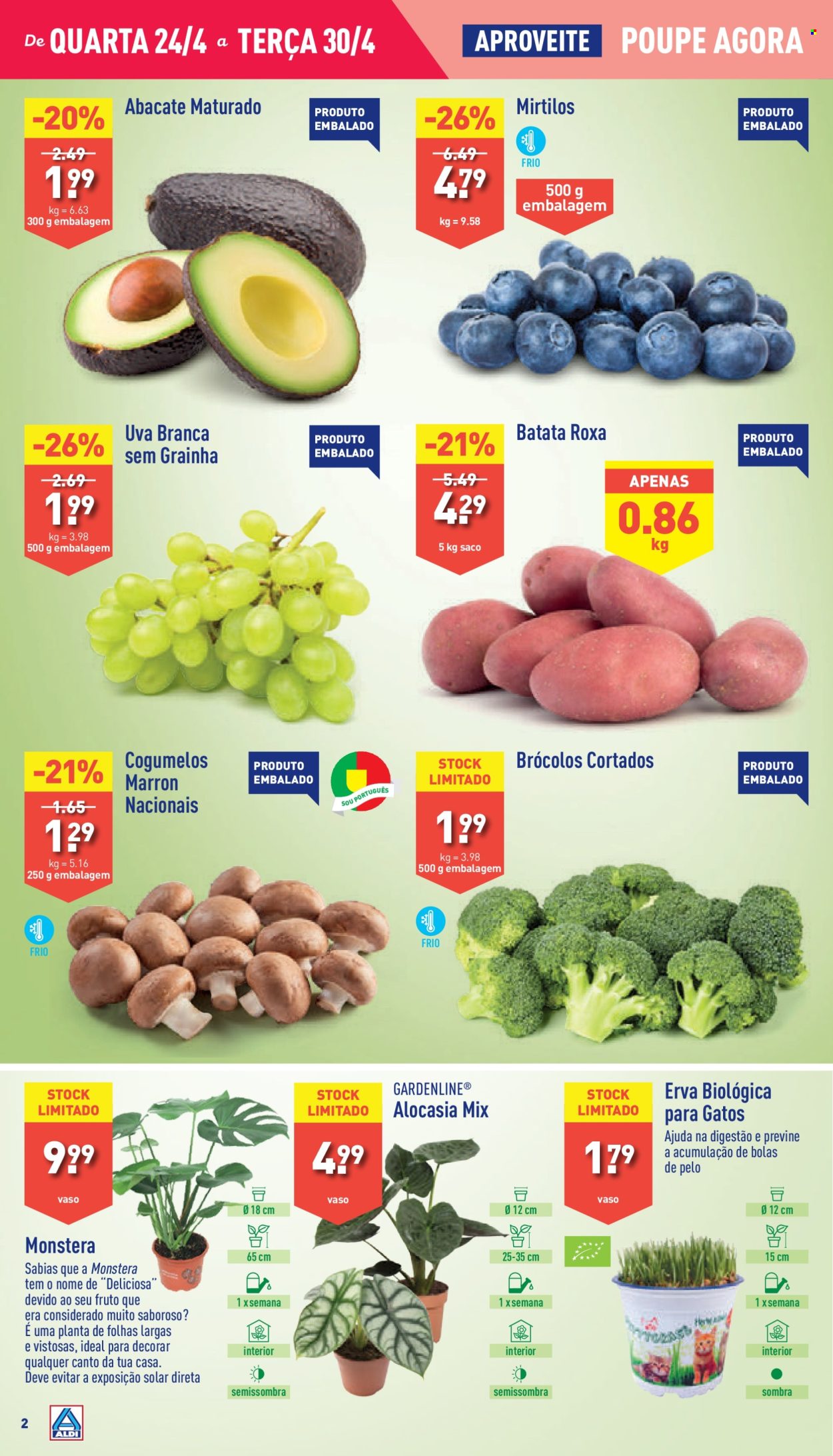Folheto Aldi - 24.4.2024 - 30.4.2024. Página 2