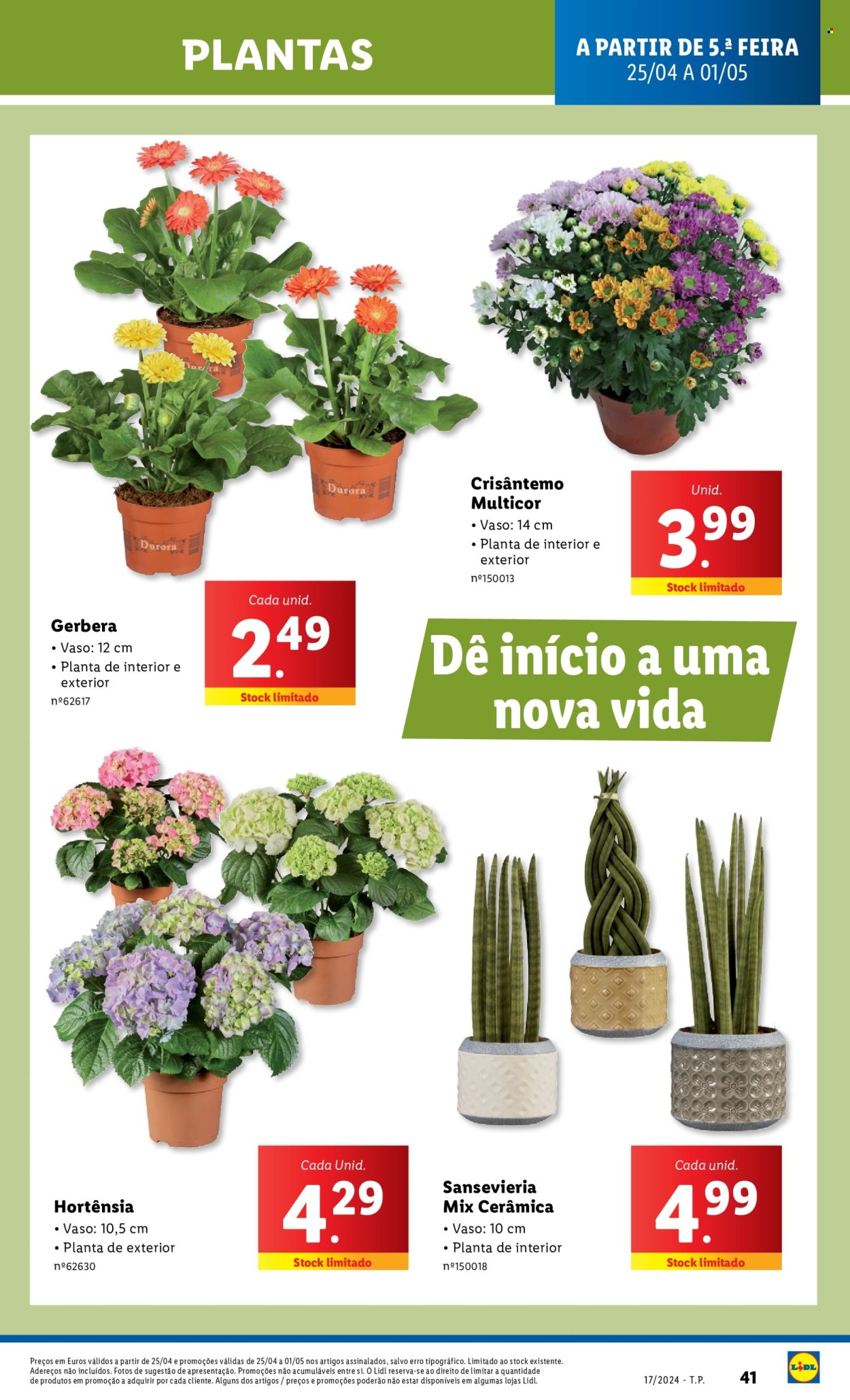 Folheto Lidl - 25.4.2024 - 1.5.2024. Página 65