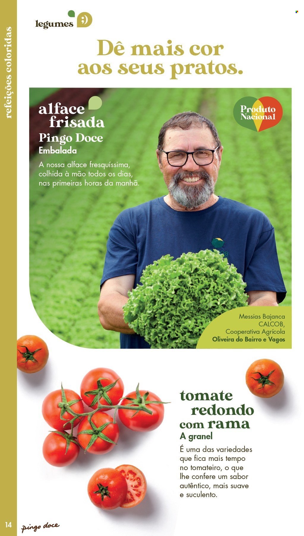 Folheto Pingo Doce. Página 14