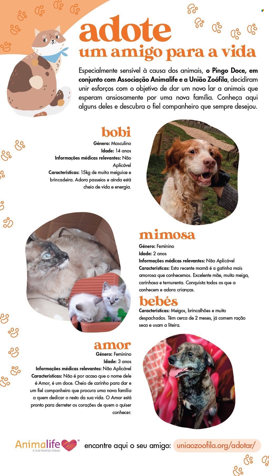 Folheto Pingo Doce - 28.5.2024 - 10.6.2024. Página 12
