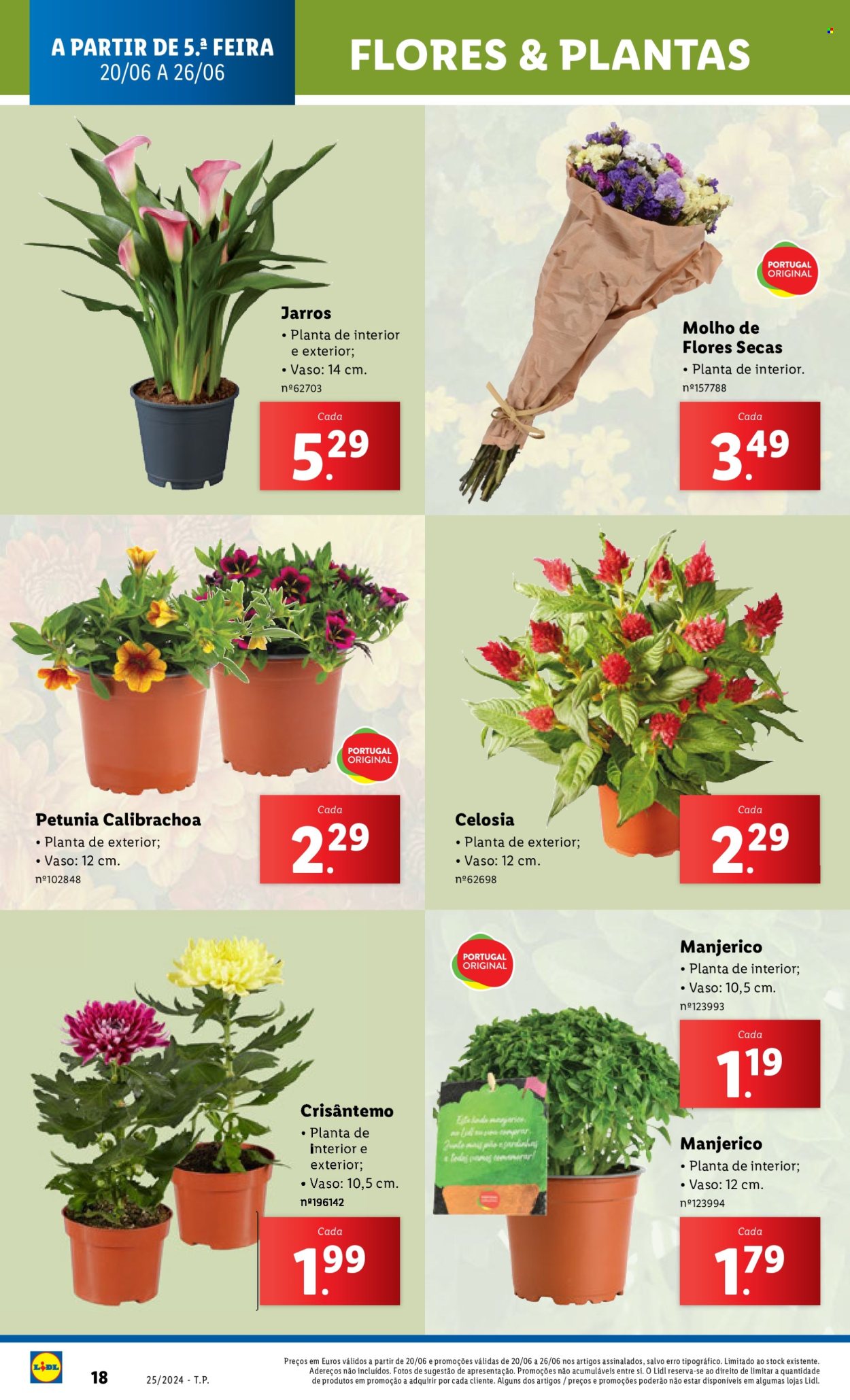 Folheto Lidl - 20.6.2024 - 26.6.2024. Página 58