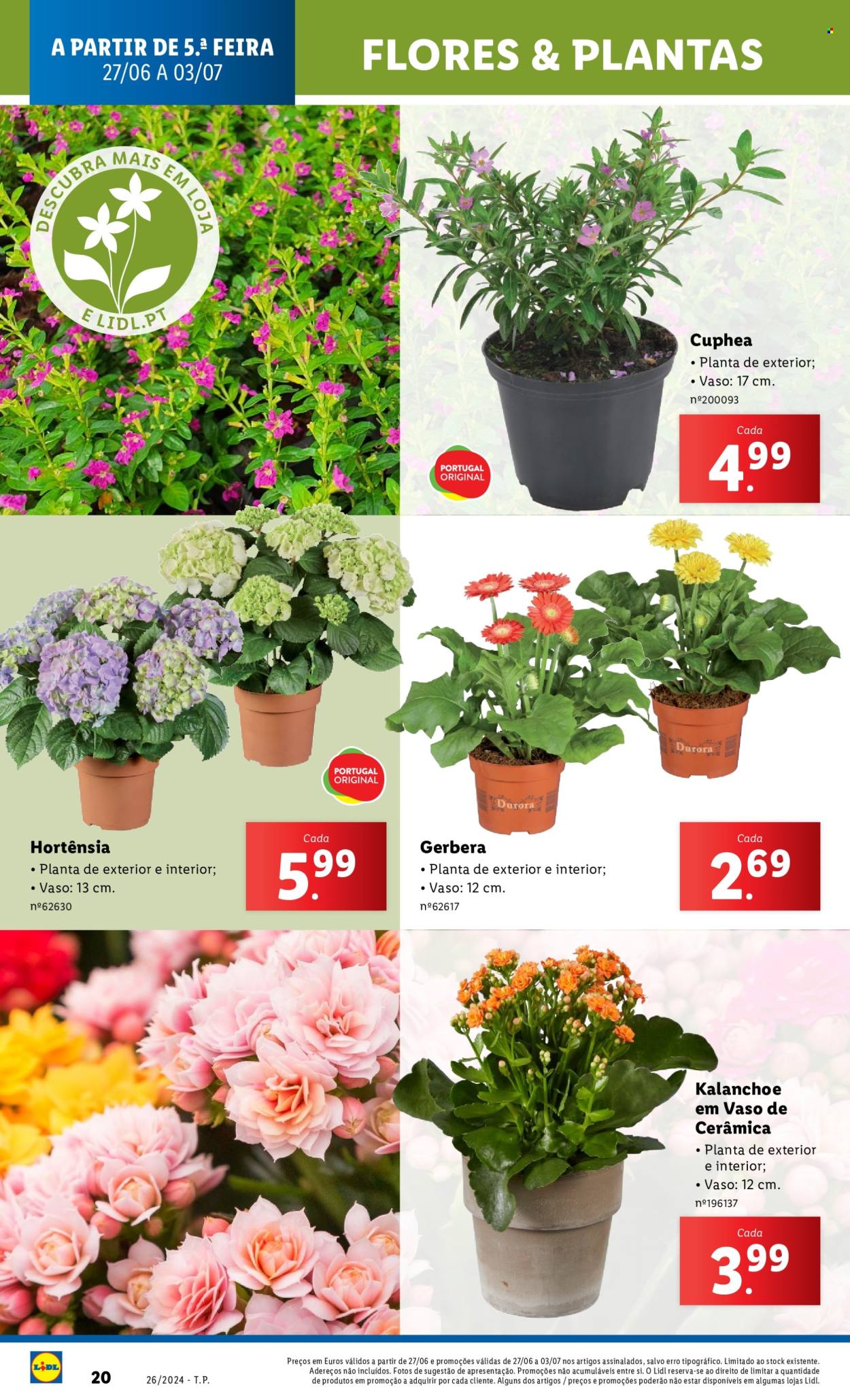 Folheto Lidl - 27.6.2024 - 3.7.2024. Página 68