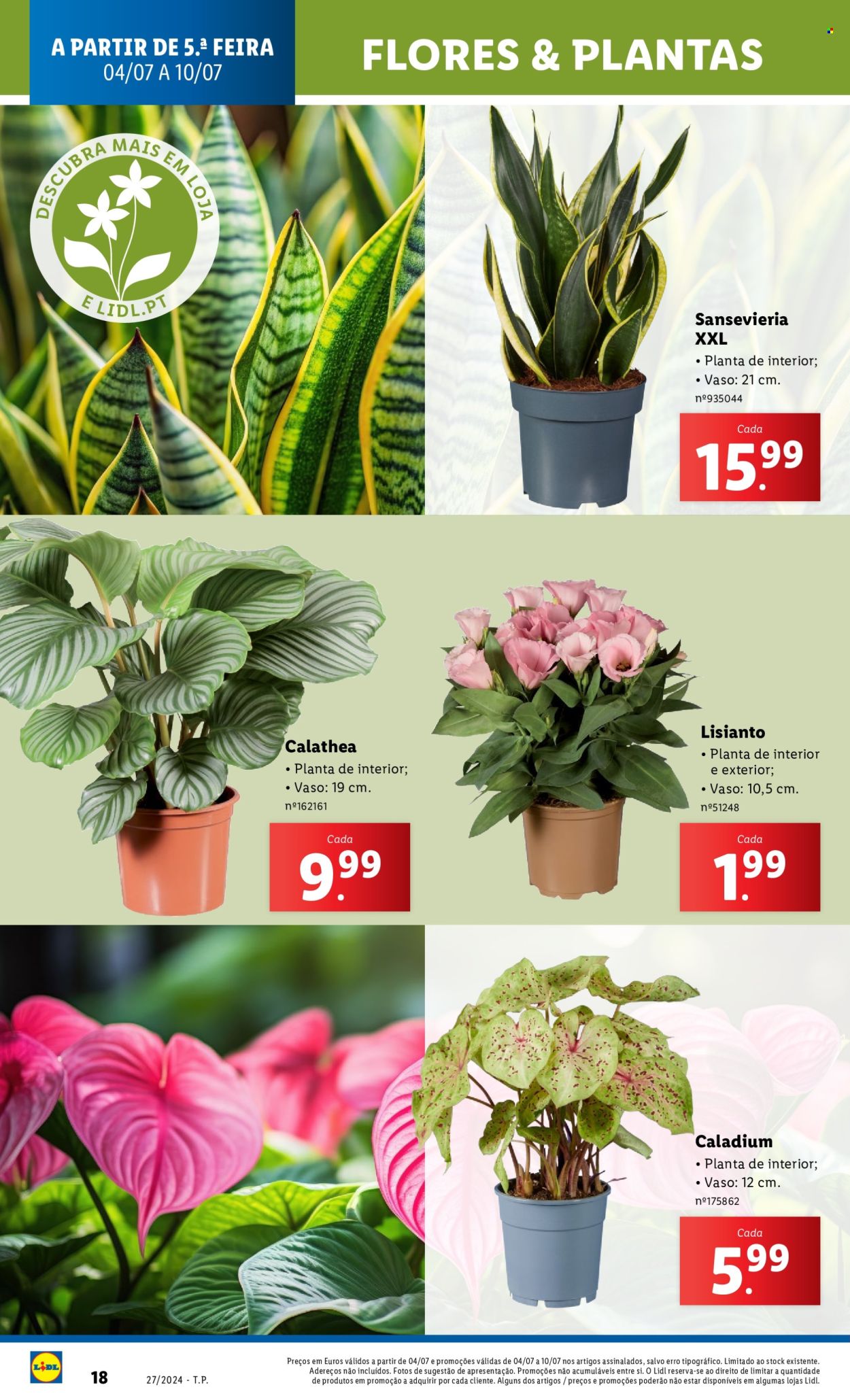 Folheto Lidl - 4.7.2024 - 10.7.2024. Página 18