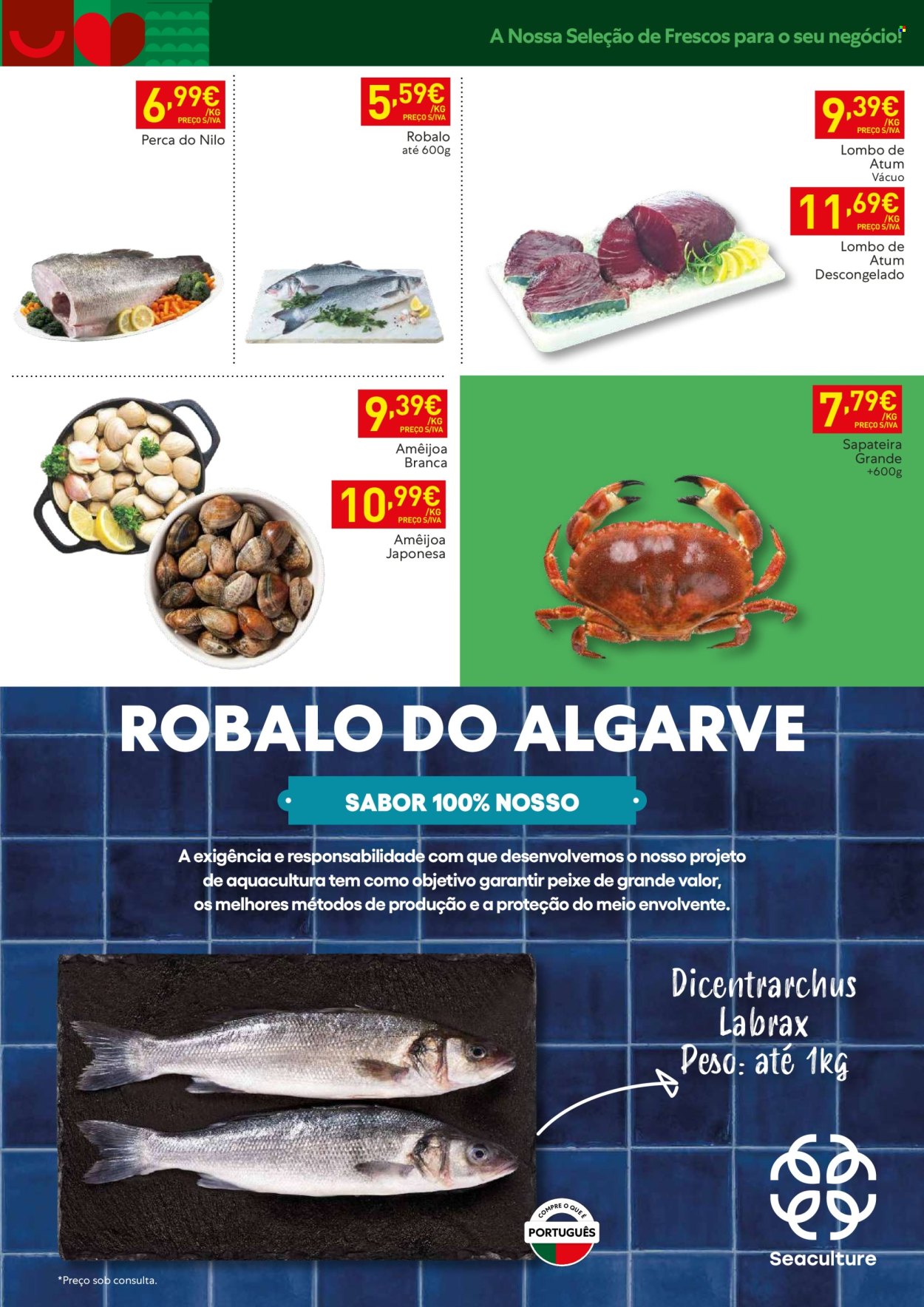 Folheto Recheio - 23.7.2024 - 29.7.2024. Página 7