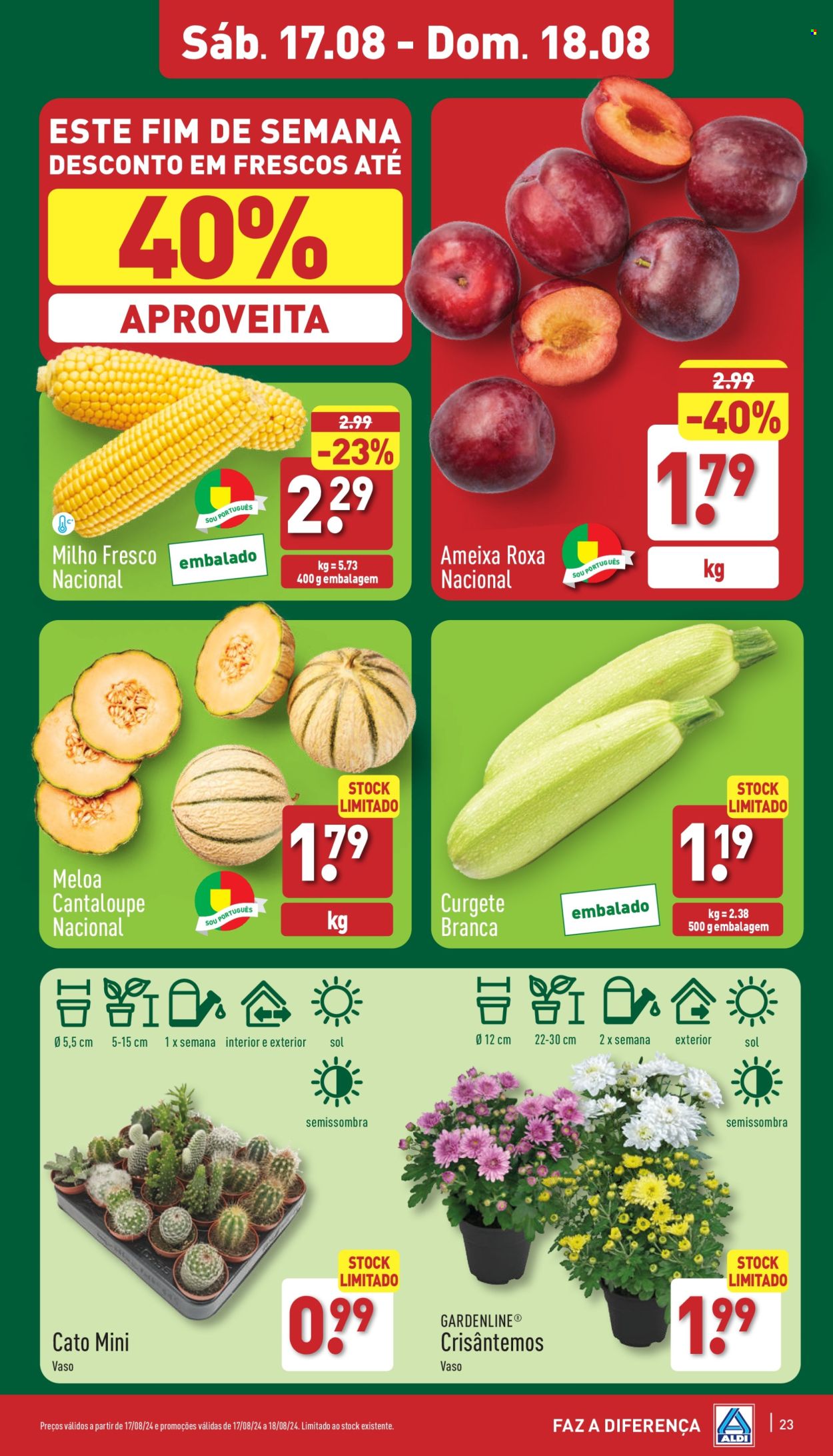 Folheto Aldi - 14.8.2024 - 20.8.2024. Página 23