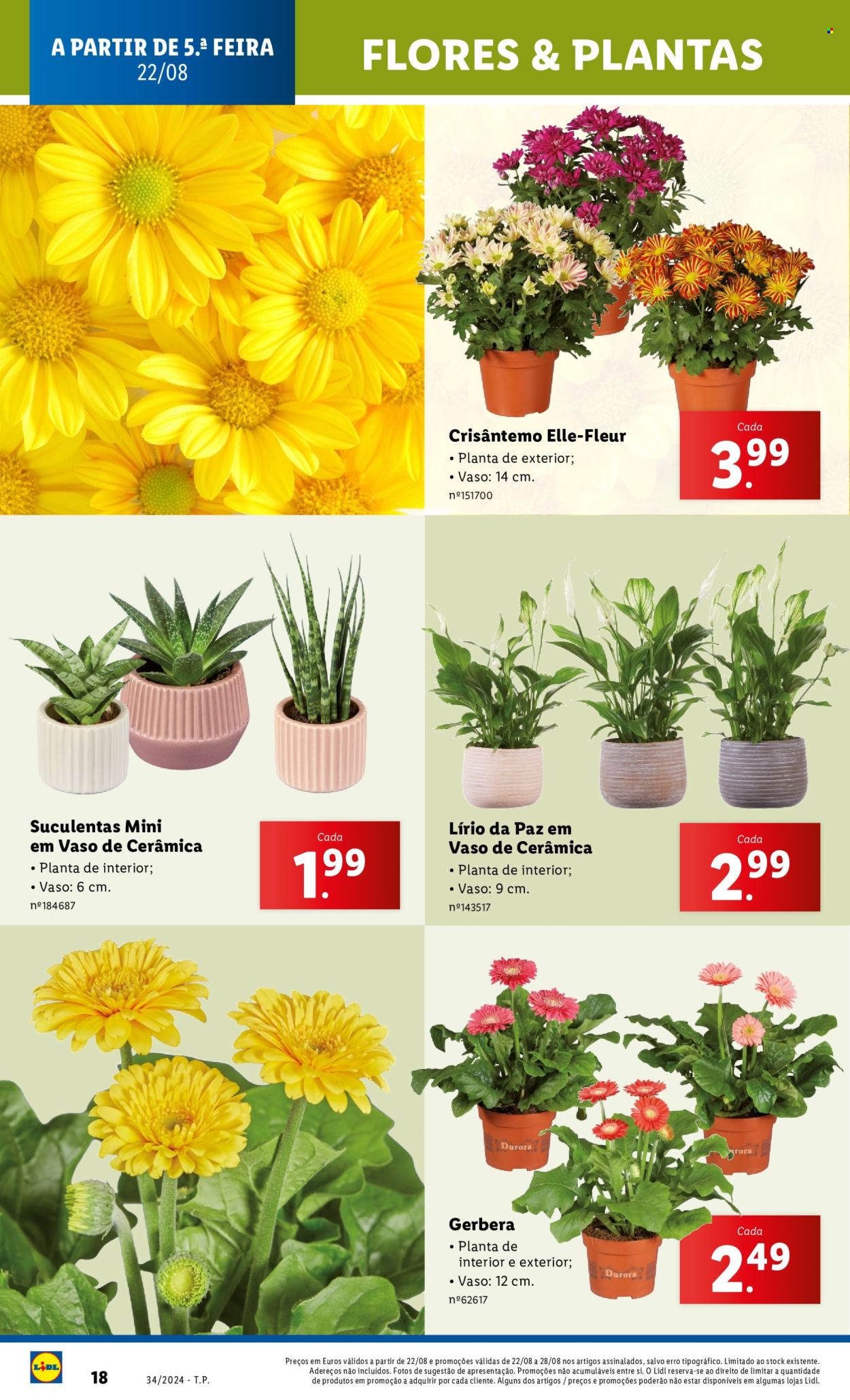 Folheto Lidl - 22.8.2024 - 28.8.2024. Página 18