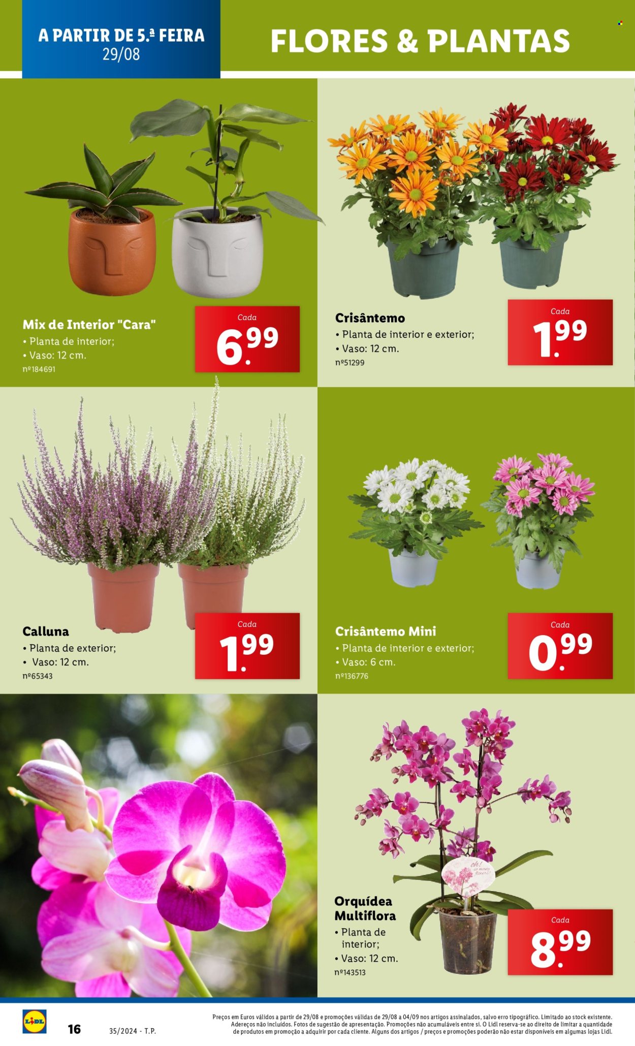 Folheto Lidl - 29.8.2024 - 4.9.2024. Página 16