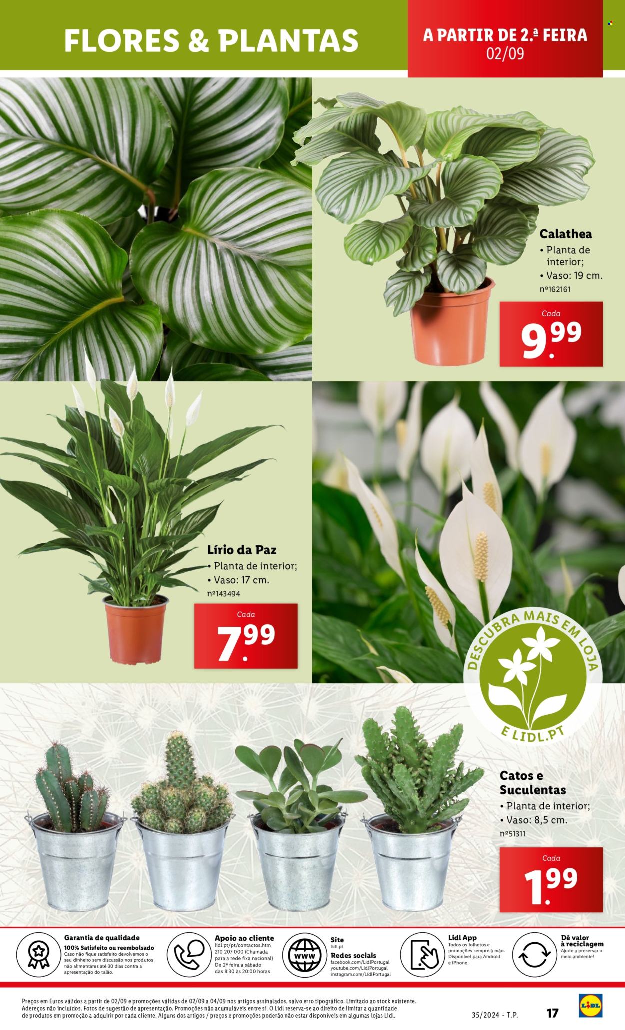 Folheto Lidl - 29.8.2024 - 4.9.2024. Página 17