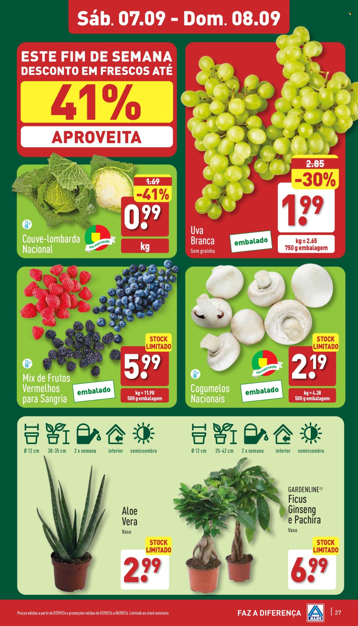Folheto Aldi - 4.9.2024 - 10.9.2024. Página 27