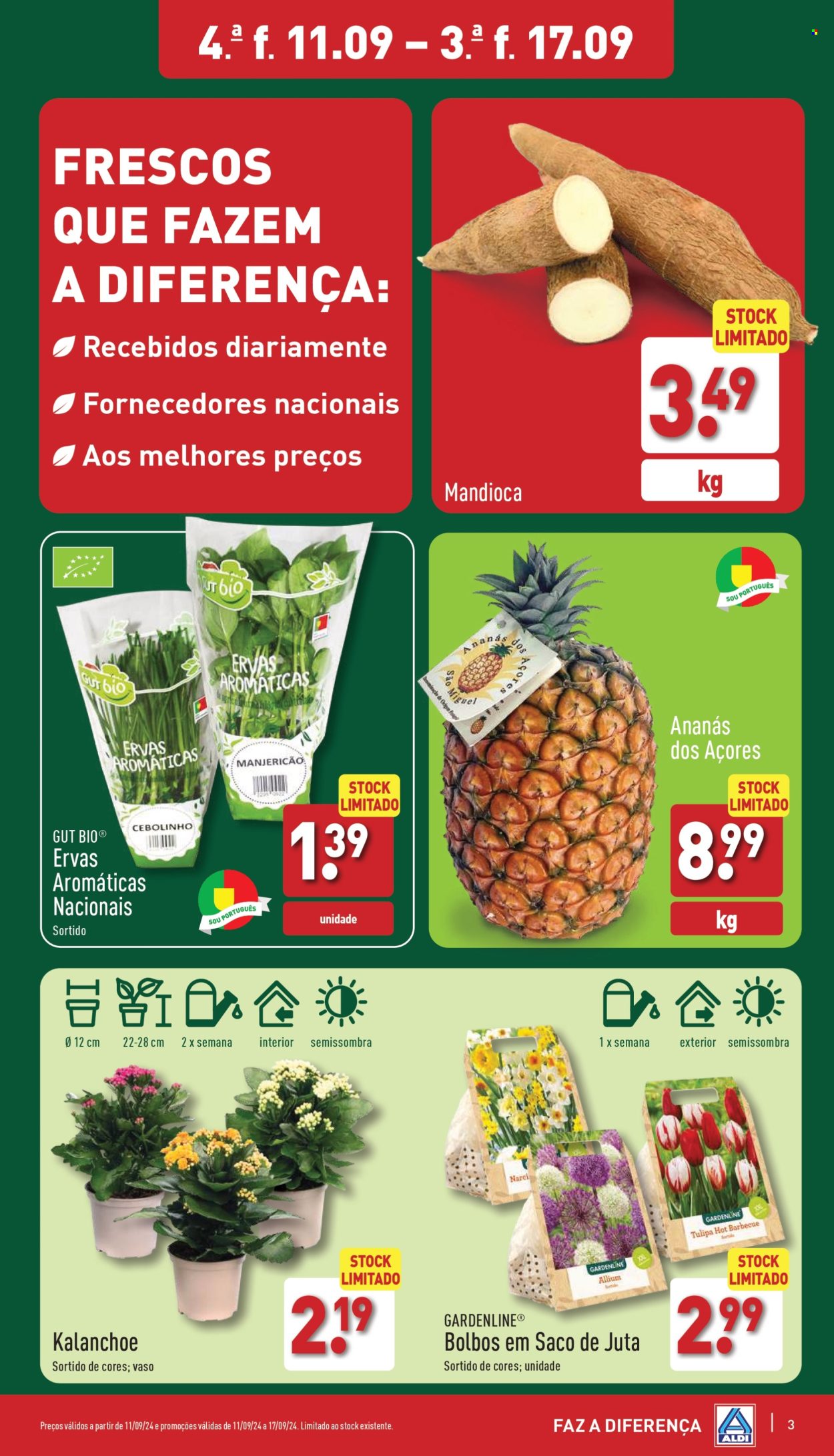 Folheto Aldi - 11.9.2024 - 17.9.2024. Página 3