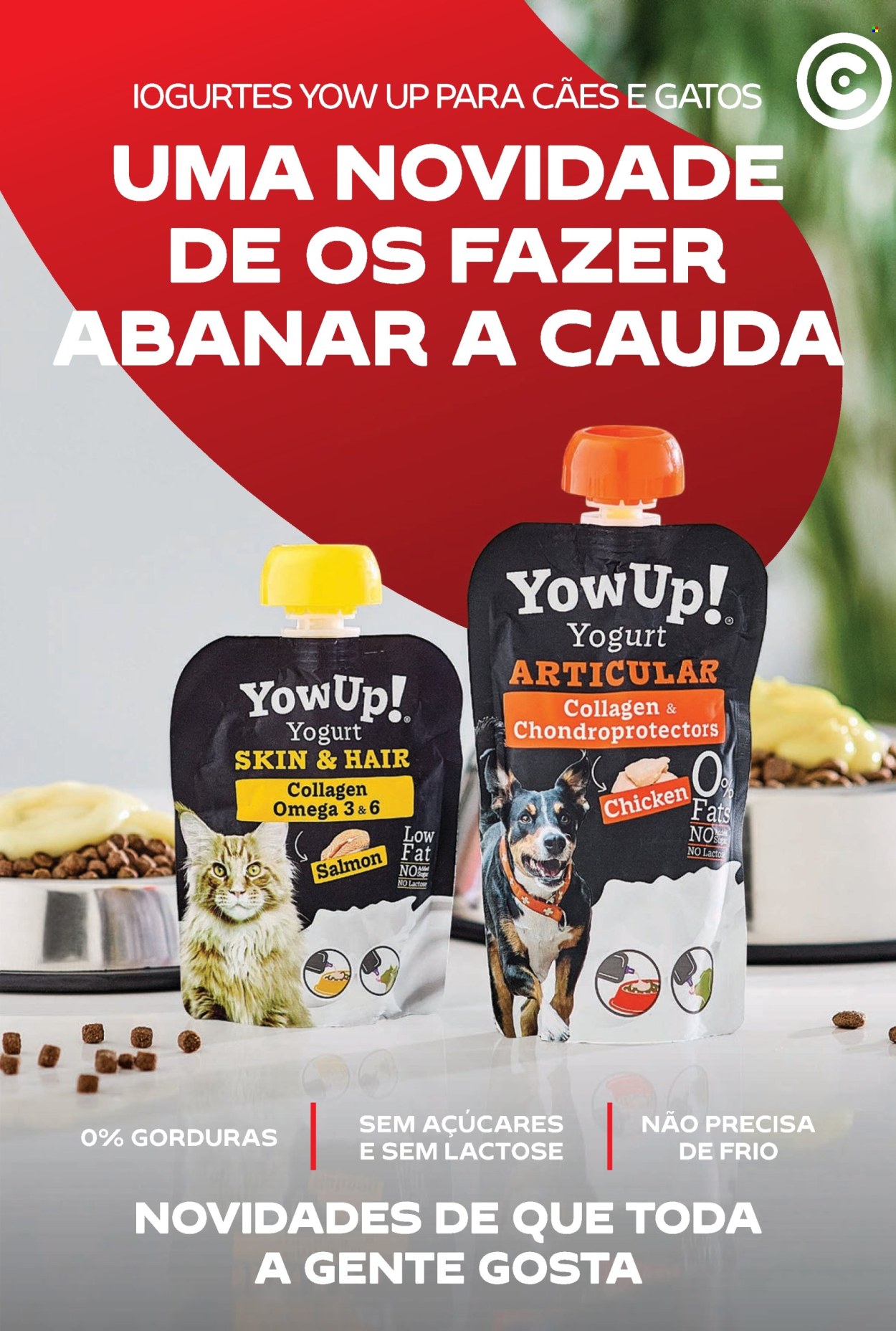 Folheto Continente Bom Dia - 10.9.2024 - 16.9.2024. Página 3