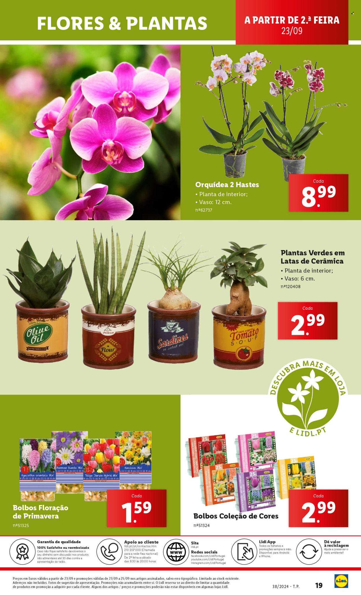 Folheto Lidl - 19.9.2024 - 25.9.2024. Página 19