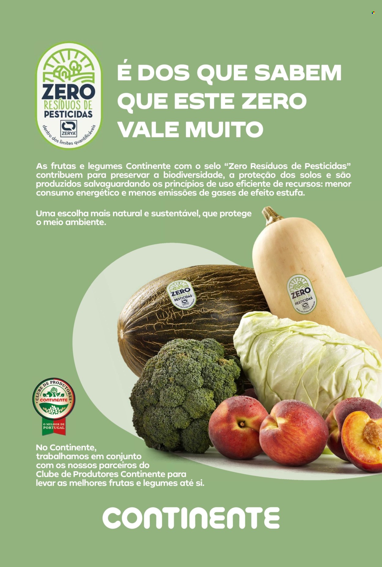 Folheto Continente Bom Dia - 8.10.2024 - 14.10.2024. Página 4