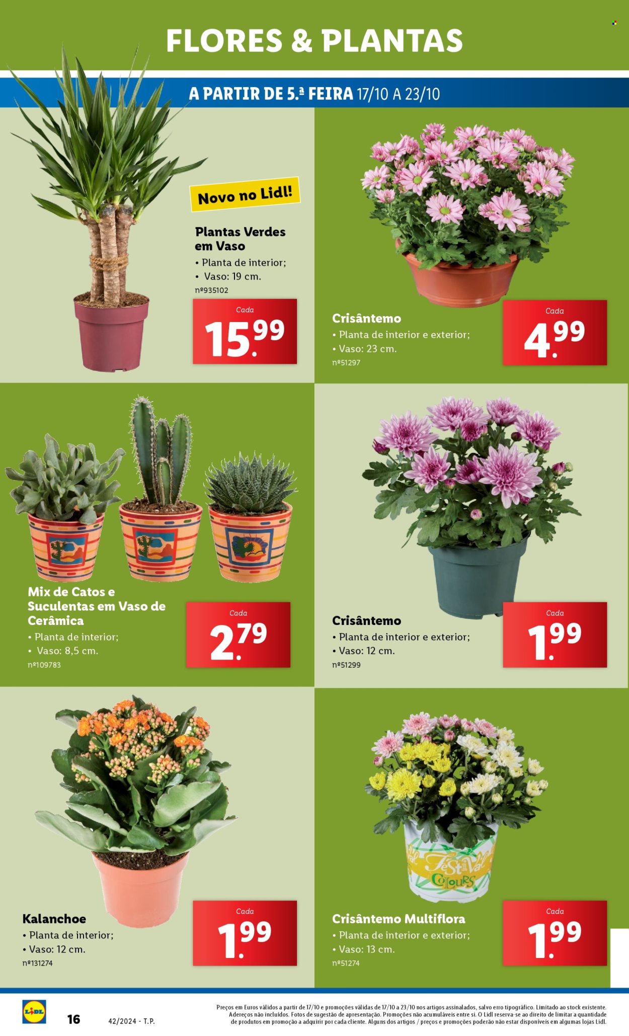 Folheto Lidl - 17.10.2024 - 23.10.2024. Página 16