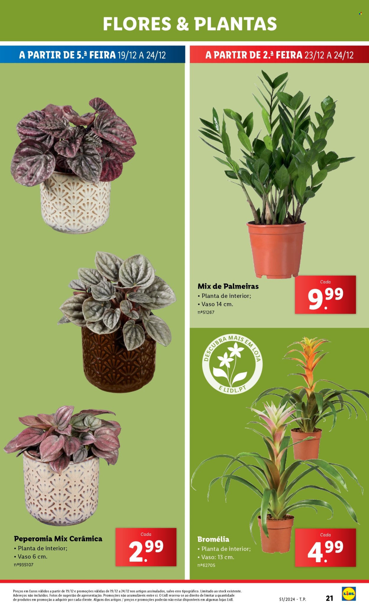Folheto Lidl - 19.12.2024 - 24.12.2024. Página 21