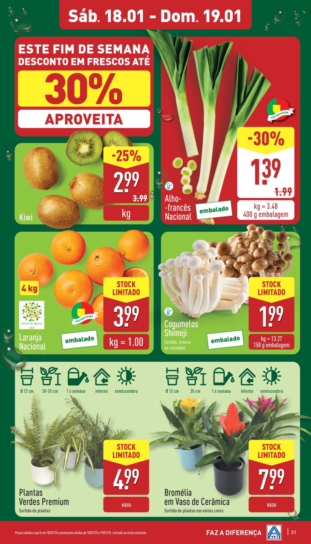 Folheto Aldi - 15.1.2025 - 21.1.2025. Página 31