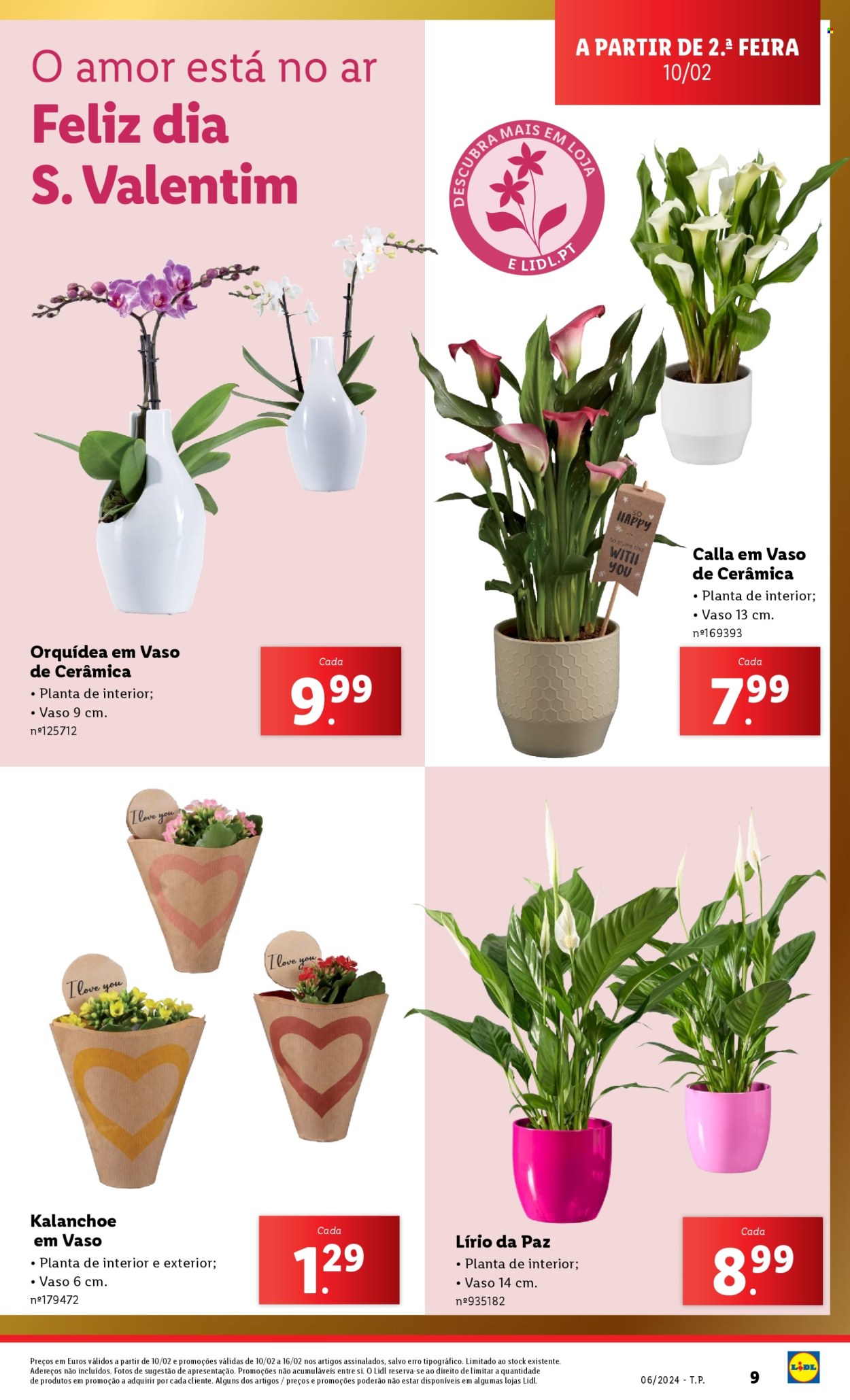 Folheto Lidl. Página 9