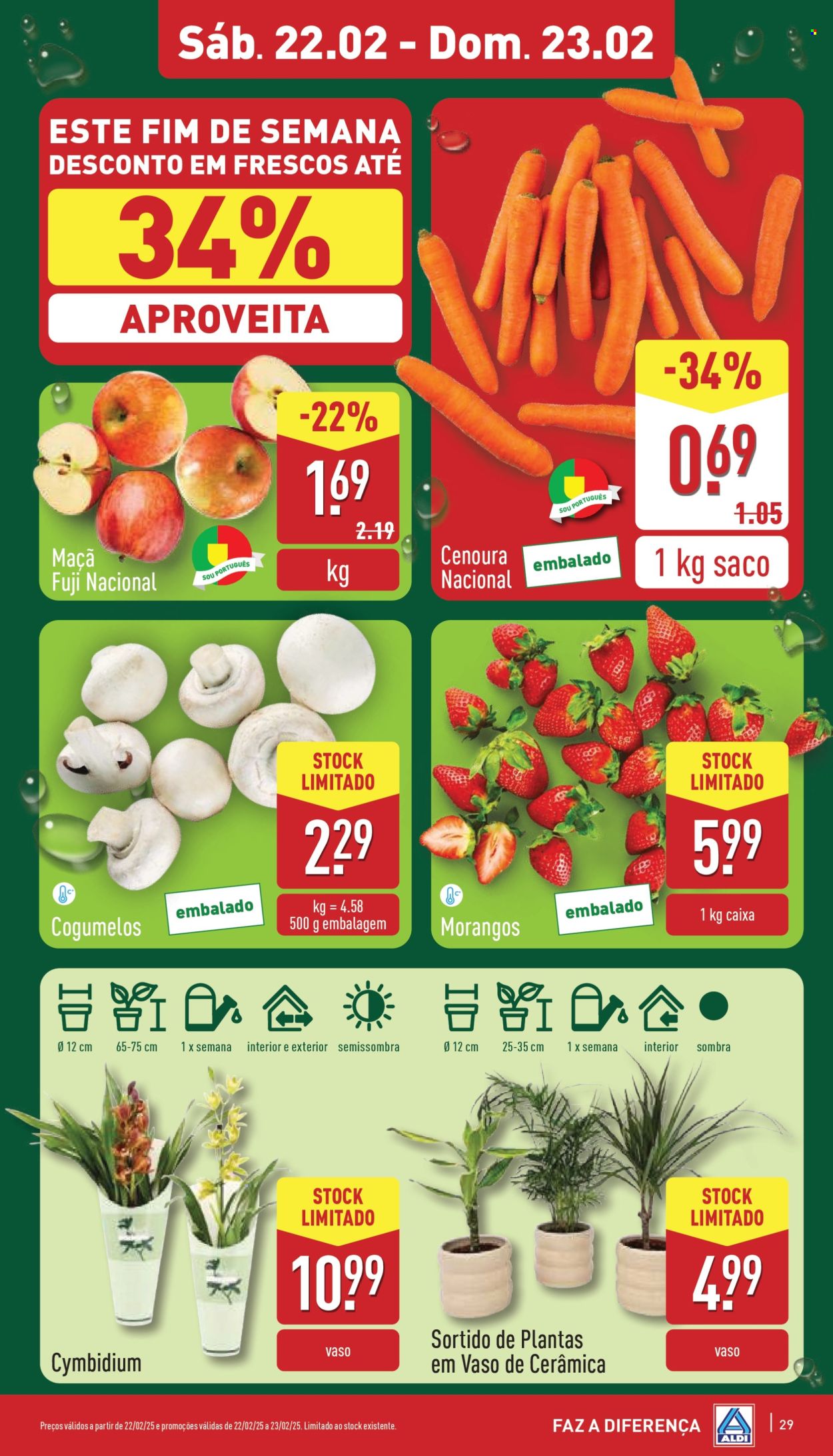 Folheto Aldi - 19.2.2025 - 25.2.2025. Página 29