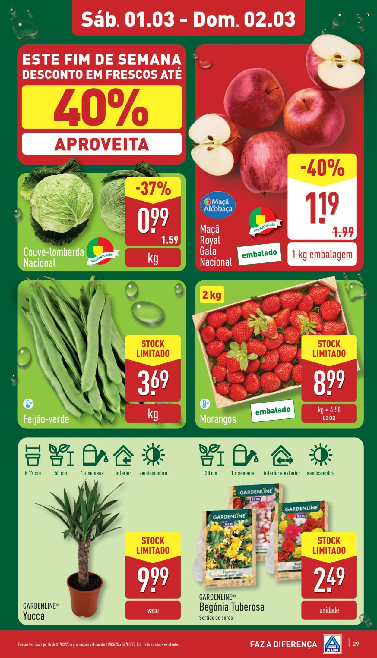 Folheto Aldi - 26.2.2025 - 4.3.2025. Página 29