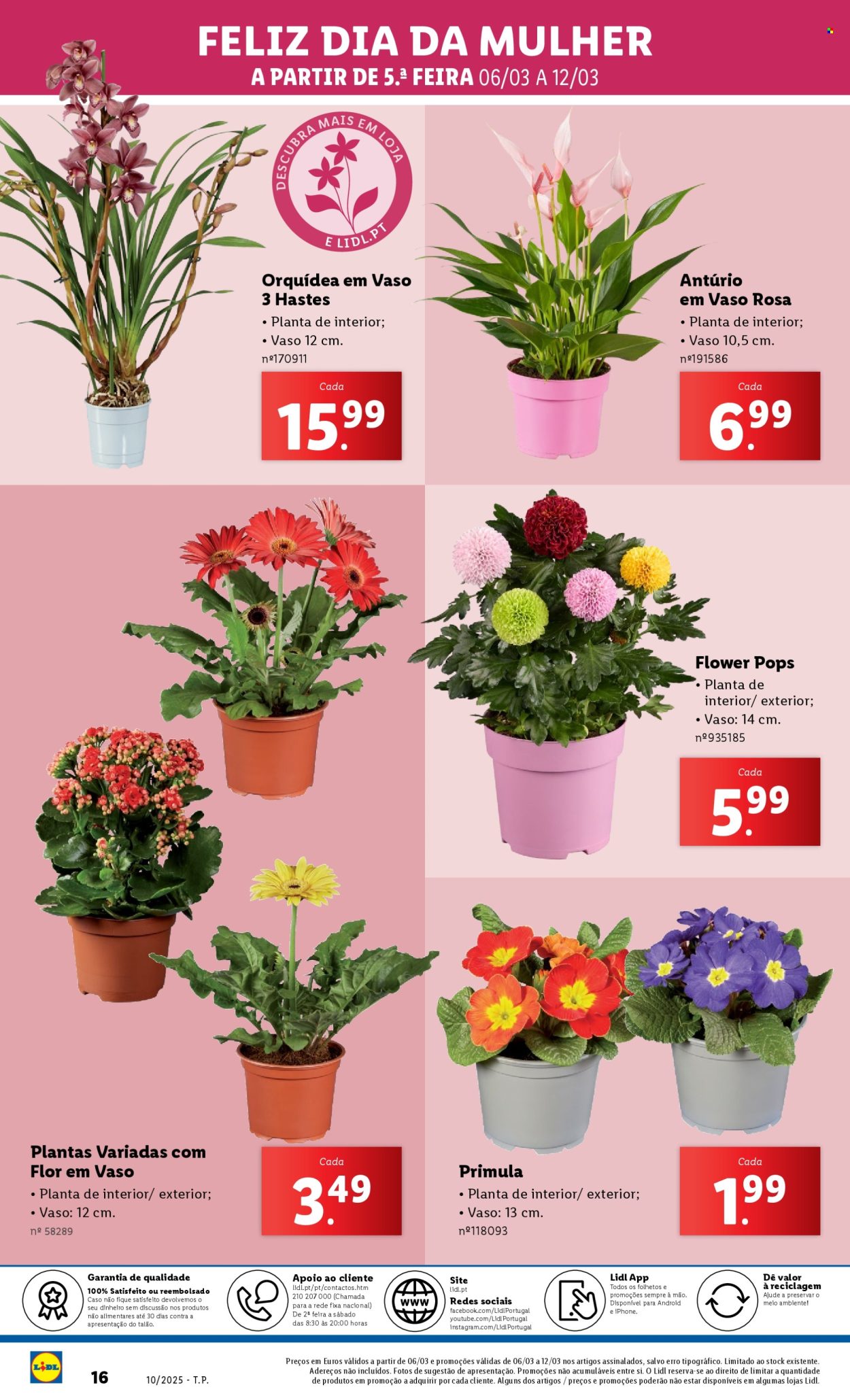 Folheto Lidl - 6.3.2025 - 12.3.2025. Página 16