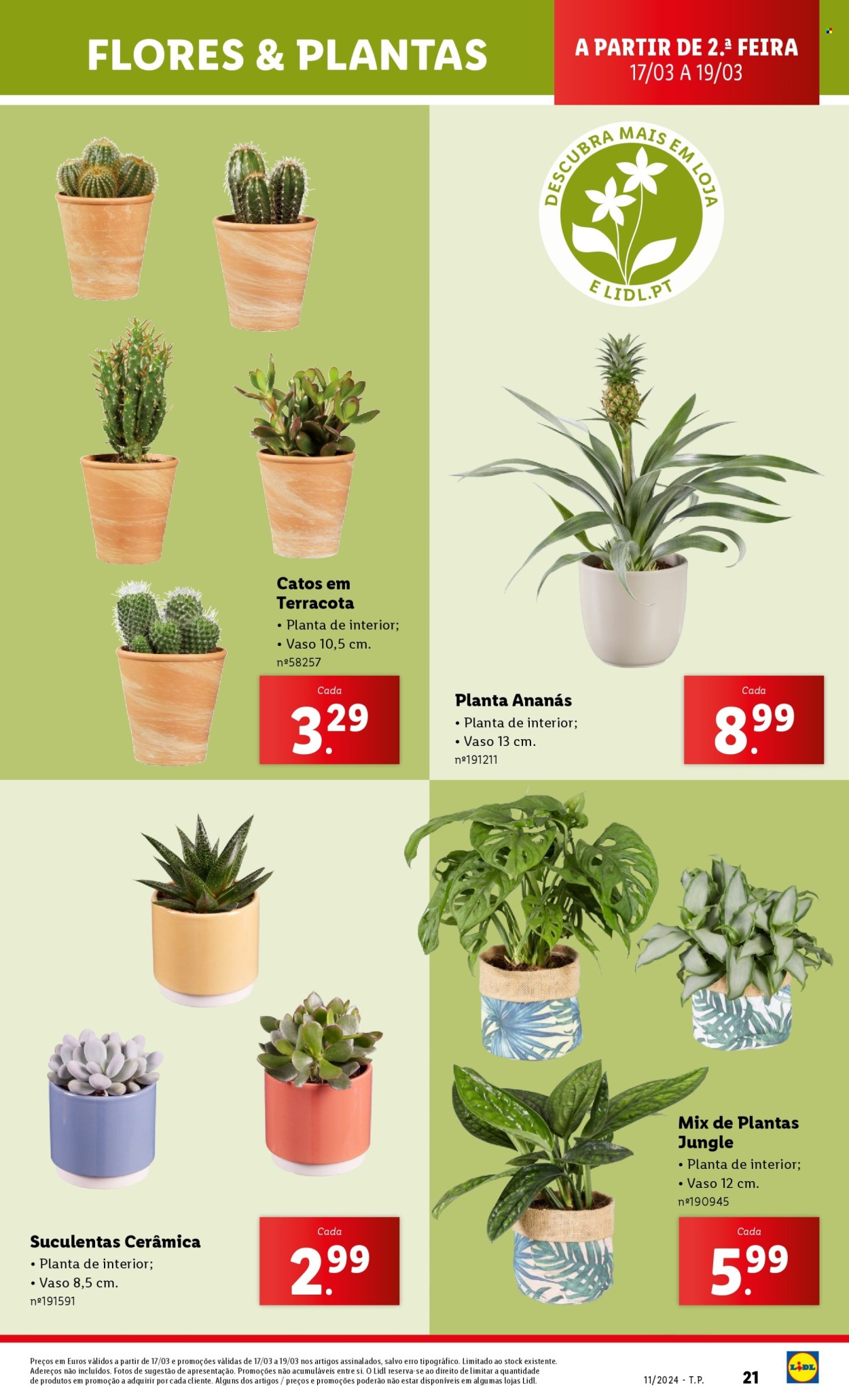 Folheto Lidl - 13.3.2025 - 19.3.2025. Página 21