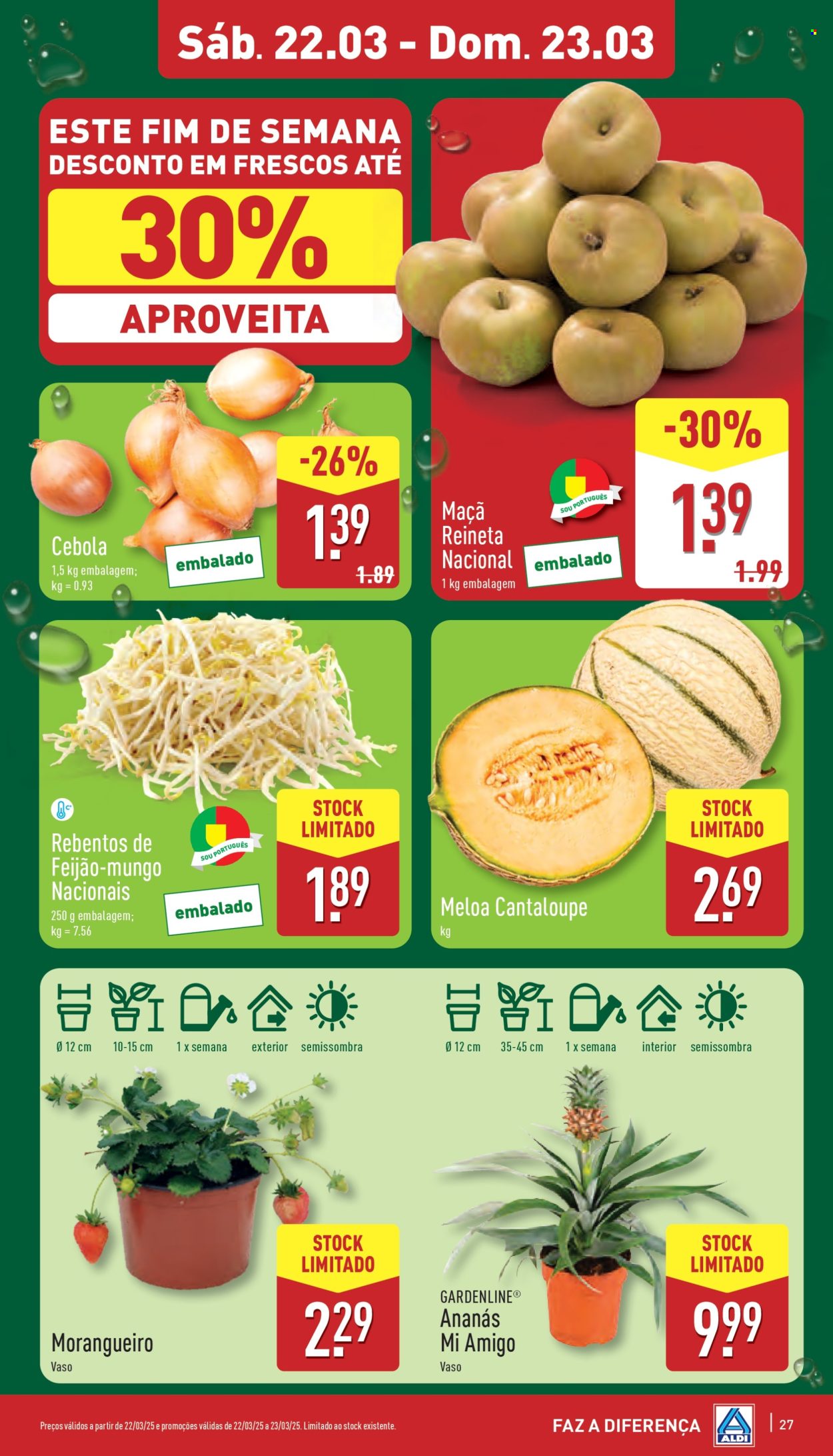Folheto Aldi - 19.3.2025 - 25.3.2025. Página 27