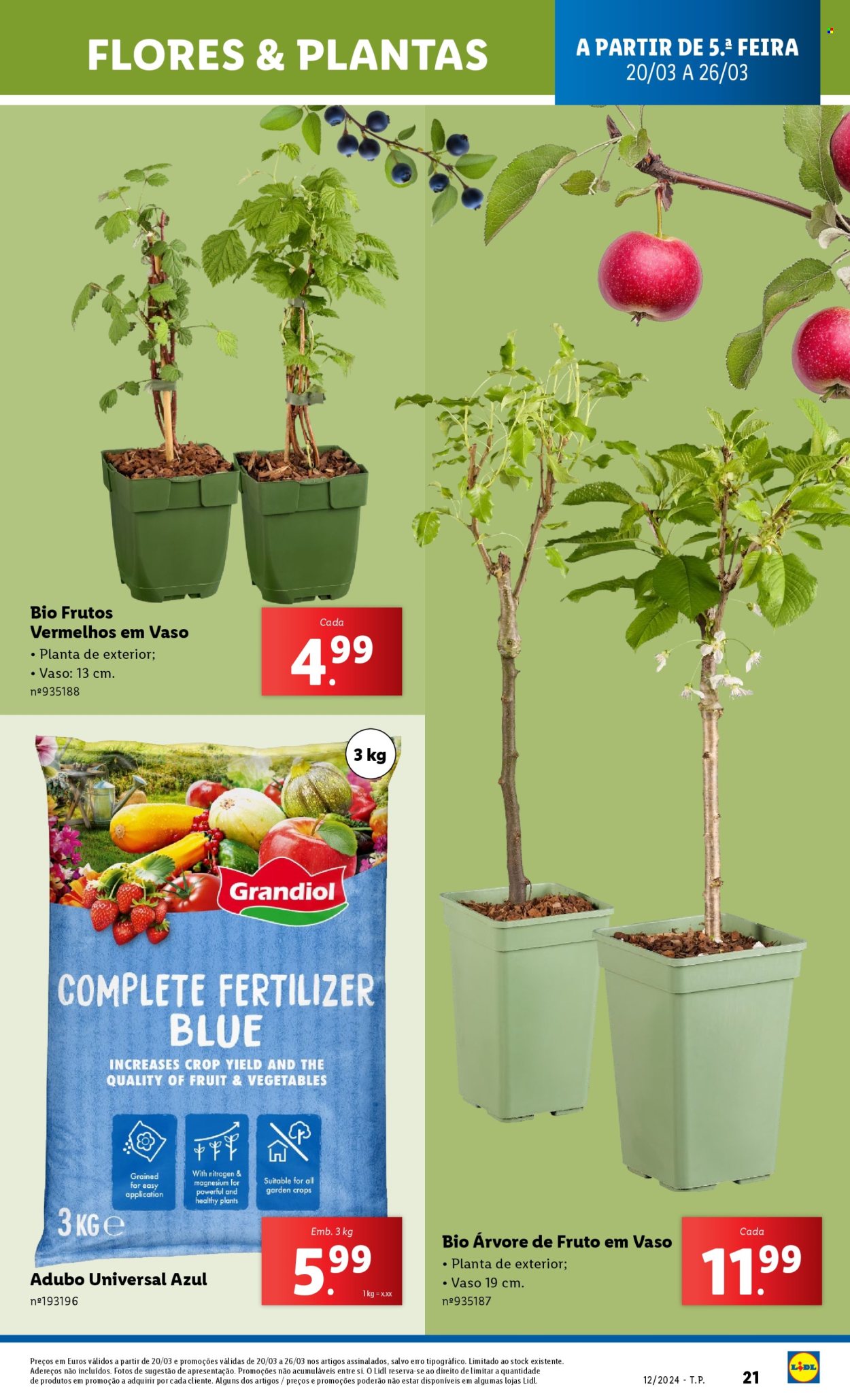Folheto Lidl - 20.3.2025 - 26.3.2025. Página 21