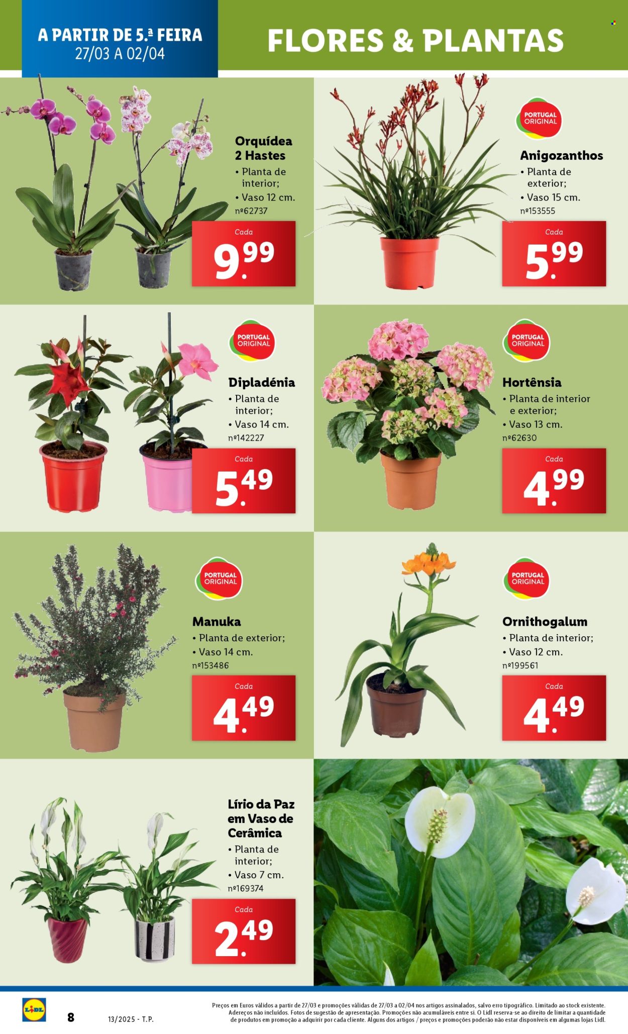 Folheto Lidl - 30.3.2025 - 2.4.2025. Página 8
