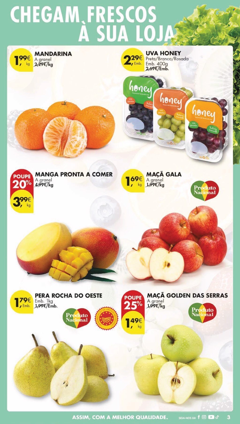 Folheto Pingo Doce - 25.3.2025 - 31.3.2025. Página 3