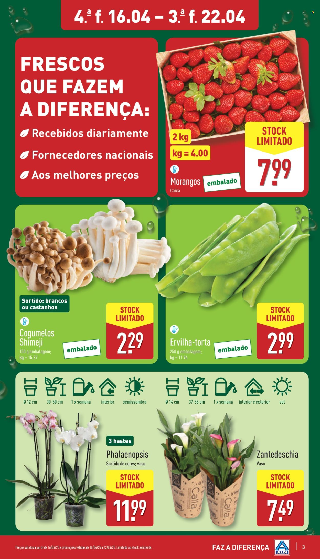 Folheto Aldi - 16.4.2025 - 22.4.2025. Página 3